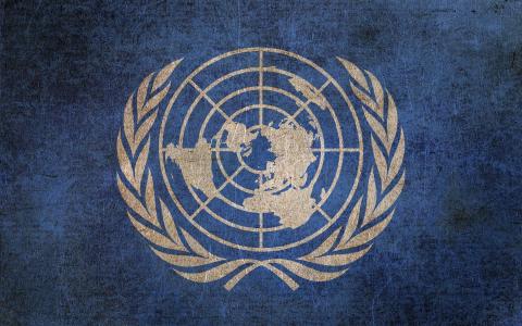 联合国的旗帜