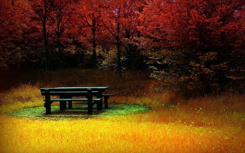 在秋天的森林野餐桌