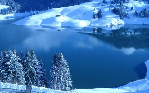 惊人的蓝色的冬天
