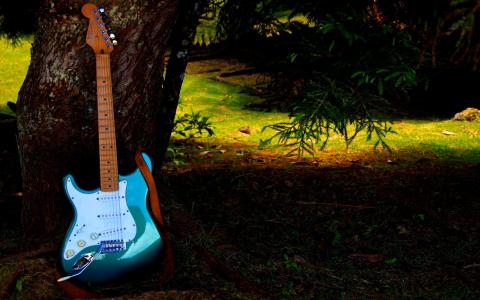 在树上的蓝色吉他