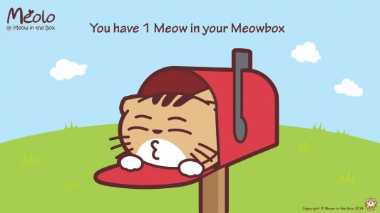 Meolo  -  Meow in the Box