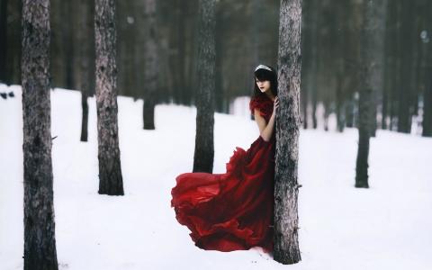 公主在树林里