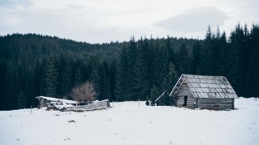 唯美的雪地木屋景象