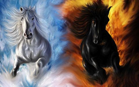 黑色和白色的马