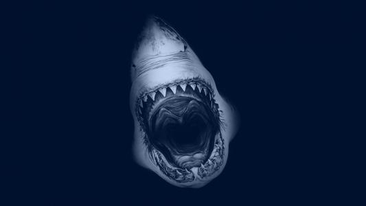 鲨鱼的嘴