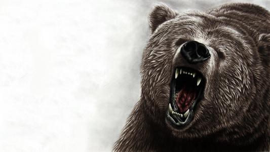 生气的熊