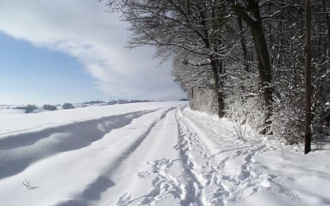 雪路径