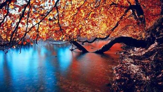 秋天倾斜在河