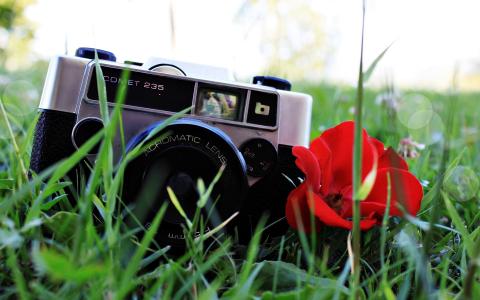 相机在草地上