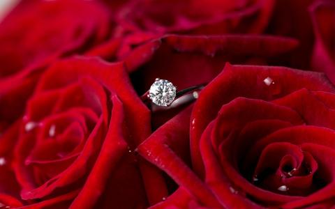 玫瑰之间的订婚戒指