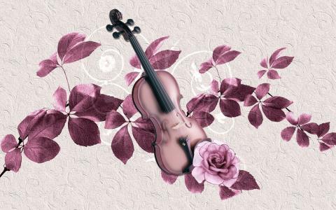 紫色的小提琴