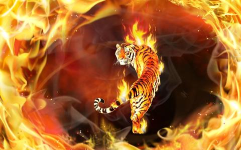 老虎在火焰中
