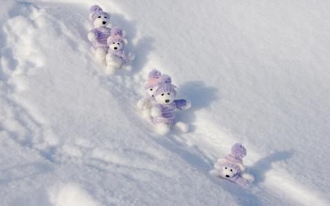 在雪地里滑动的泰迪熊