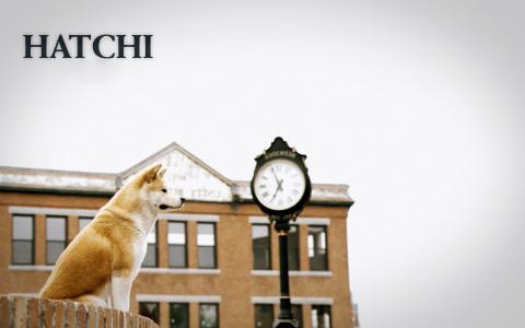 Hachi：狗的故事