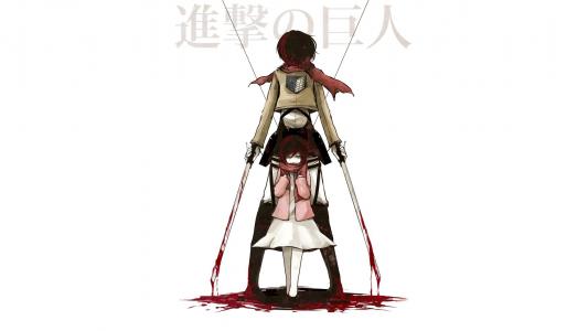 Mikasa Ackerman  -  Shingeki no kyojin