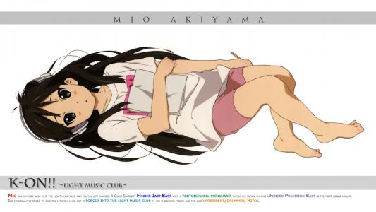 Mio Akiyama  -  K-On！