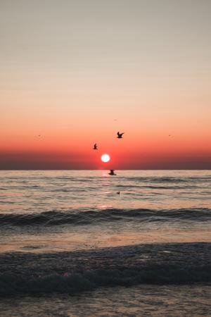 唯美的海边落日