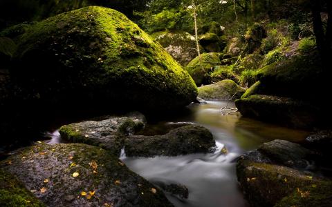 河通过长满苔藓的岩石