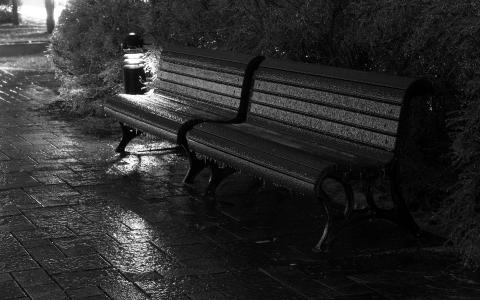在雨中的公园长椅