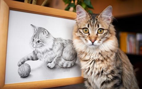 小猫与它的绘画