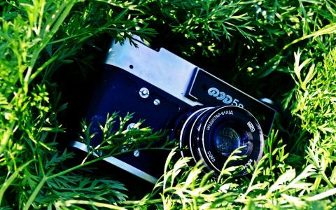相机在草地上