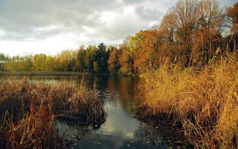 秋天的森林湖