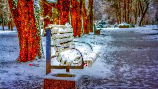 在公园里冻结的长凳