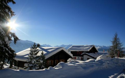 阳光照耀着雪的小屋