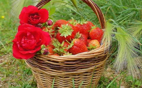 篮子的玫瑰和草莓