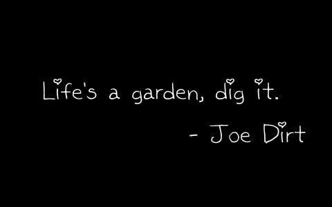 生活是一个花园