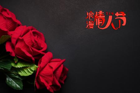 情人节娇艳的玫瑰花