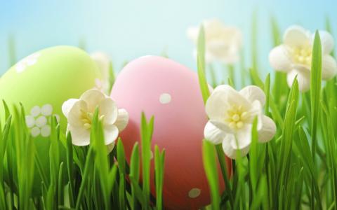 复活节彩蛋在草地上