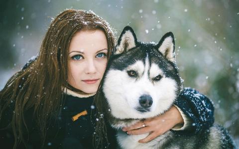 她的狗在雪中的女孩