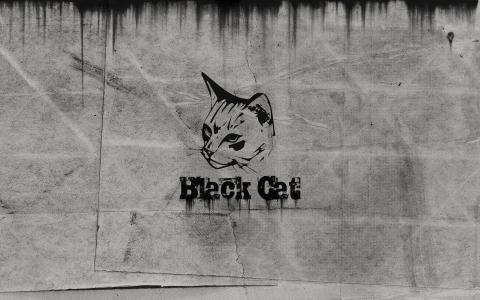 黑猫
