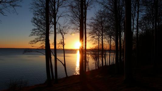 湖边森林日落