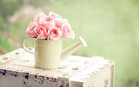 可爱的粉色花朵壁纸