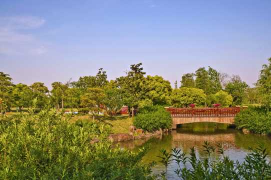 上海边江丛林公园景色图片