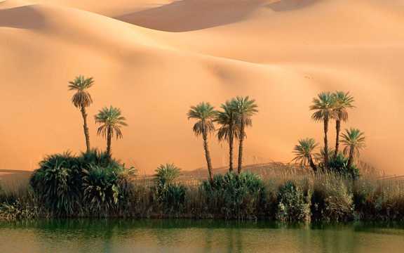大漠美景图片