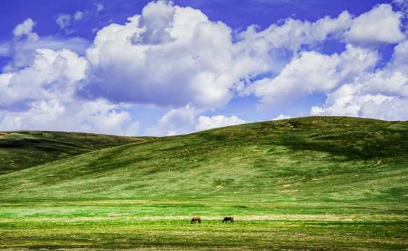 新疆巴音布鲁克草场景物图片