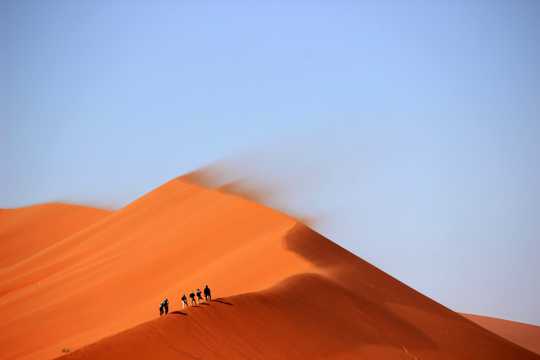 大漠探險圖片