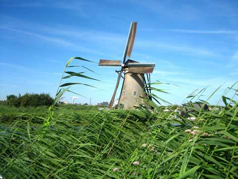 荷兰风车自然风光图片