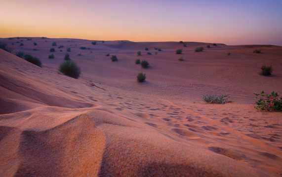 暮色下的大漠图片
