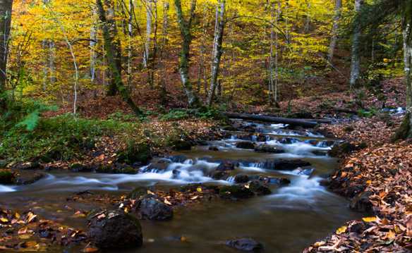 秋天山涧的小溪图片
