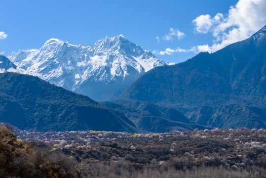西藏林芝伟岸雪山景色图片