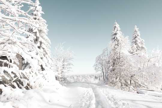 银装素裹的冬天雪景图片