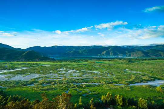 泸沽湖草海景象高清图片