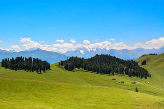 新疆索尔巴斯陶自然景色图片
