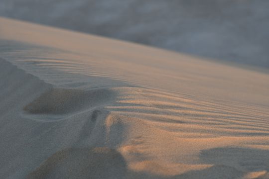 大漠沙子景致图片