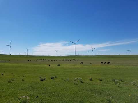 草地上的电力风车图片