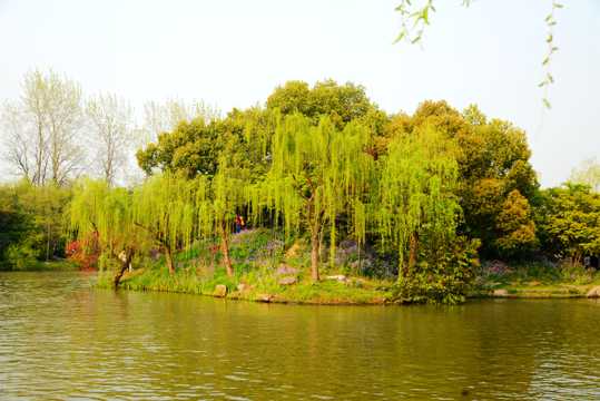 江苏扬州景致图片